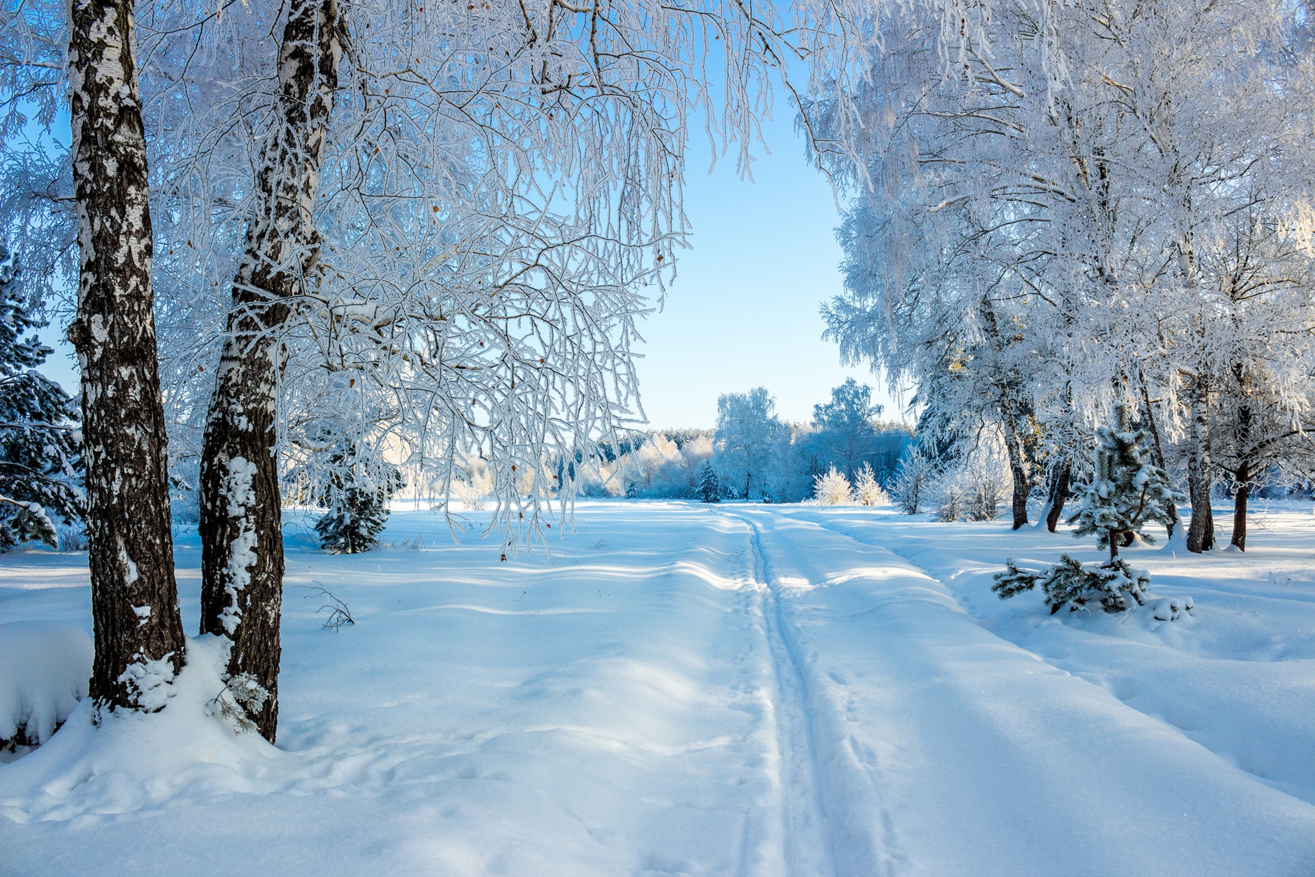 Картинка зимний период. Зимняя природа. Красивая зима. Зима пейзаж. Снежный пейзаж.