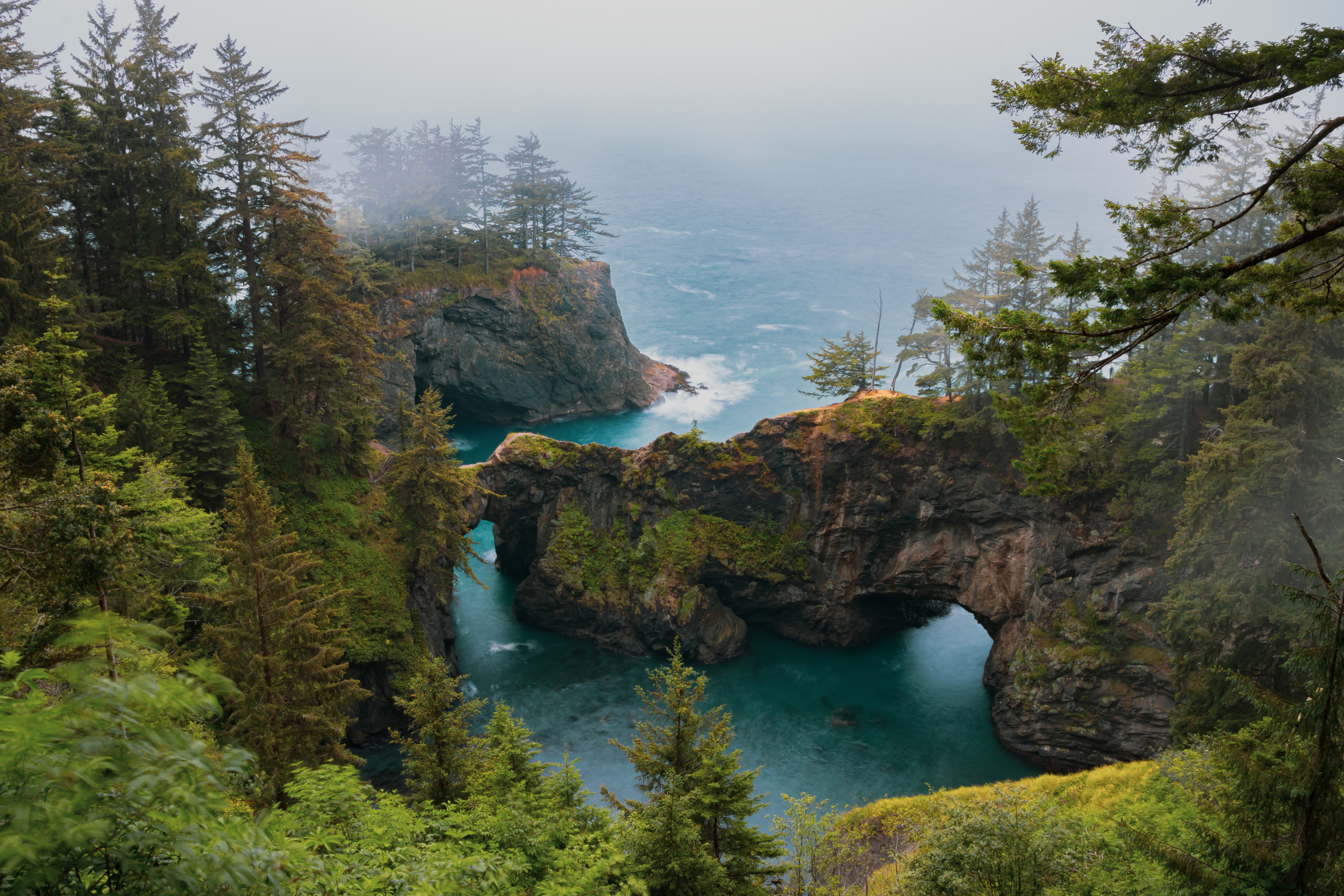 деревья, океан, Орегон, пейзаж, природа, скалы, сша, туман
