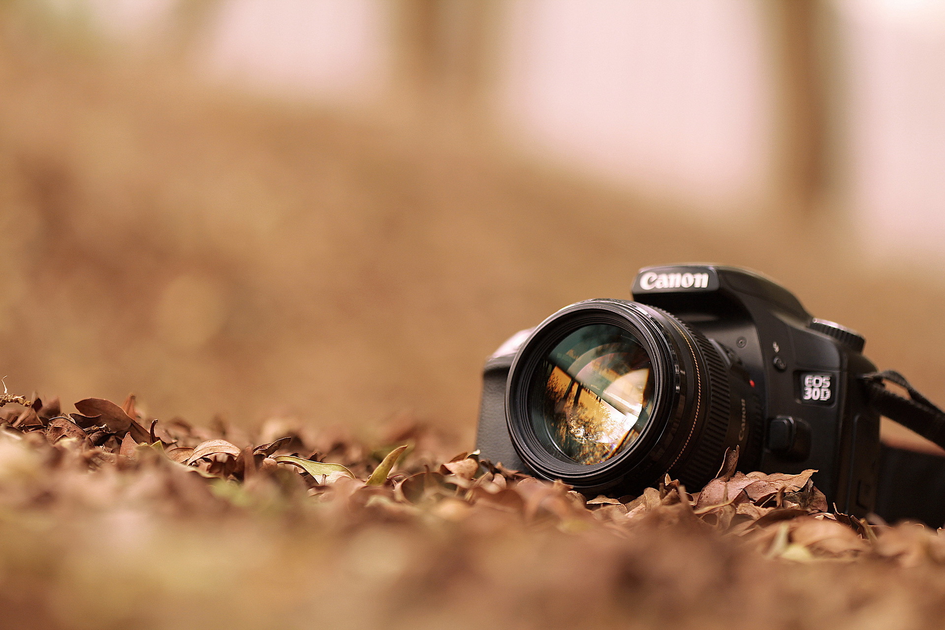 камера фотоаппарат техника трава бесплатно