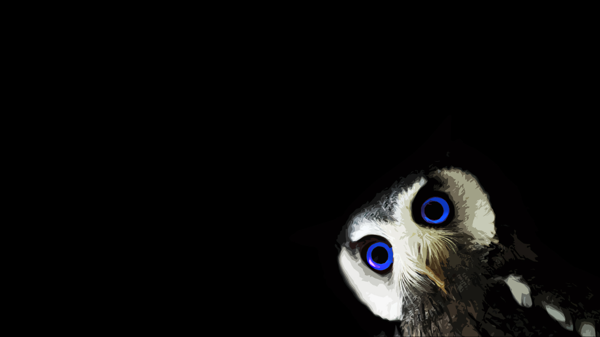 animals, black, black background, blue eyes, minimalism, owl