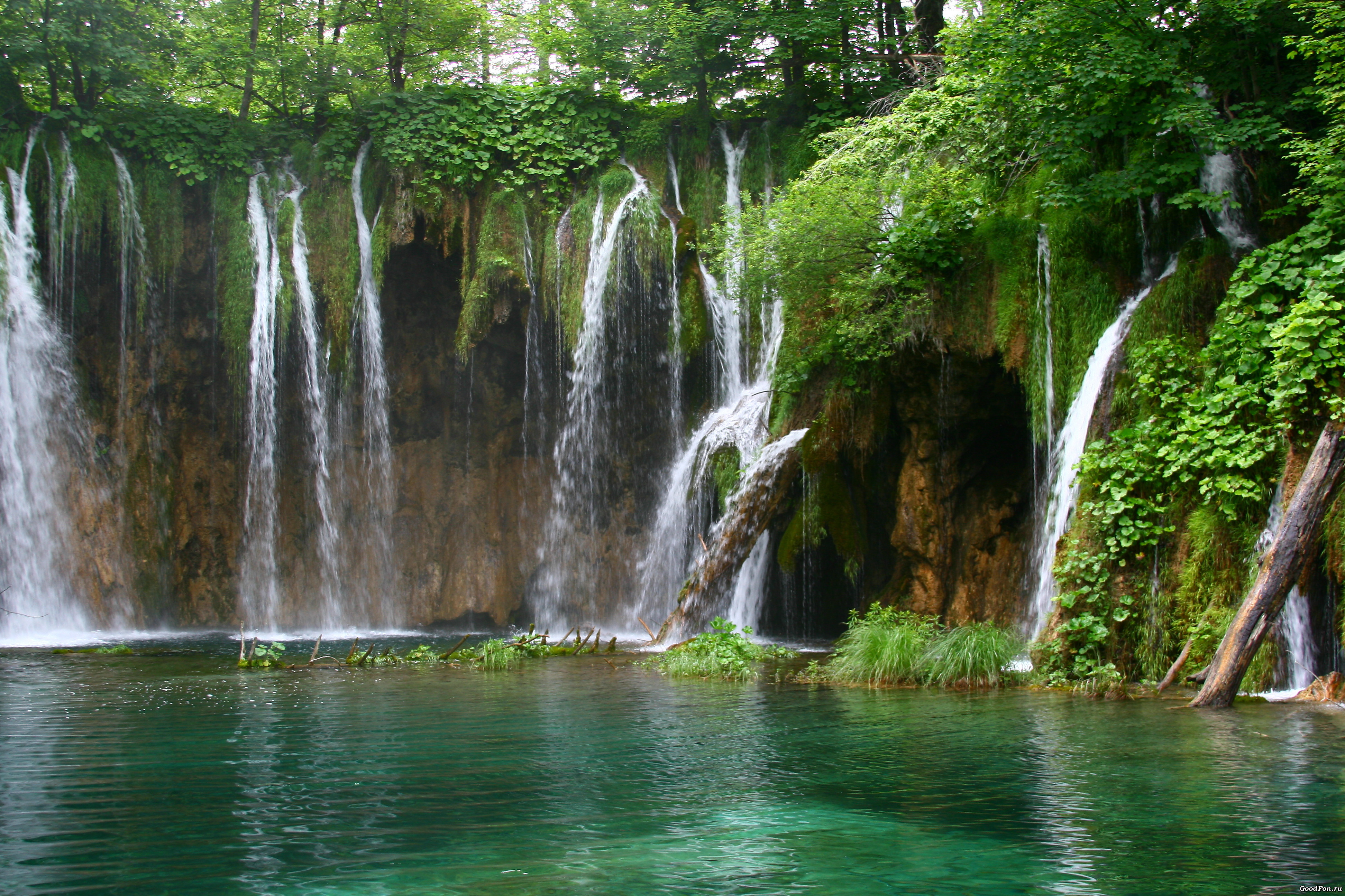 Лесной водопад бесплатно