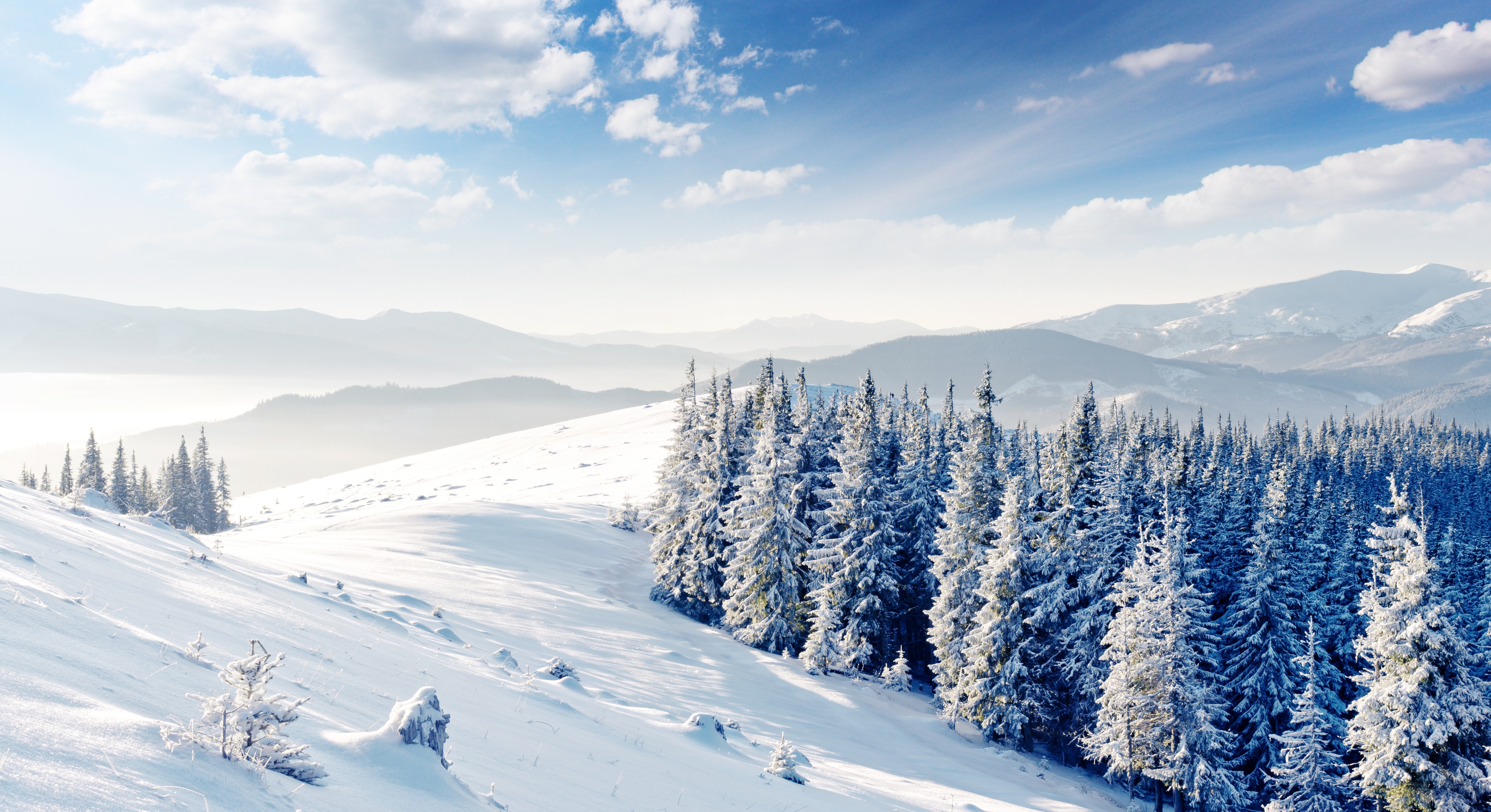 Тироль зима природа снег деревья облака горы бесплатно