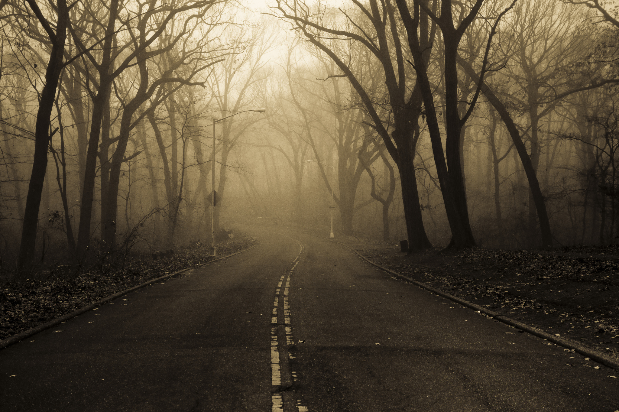 Темный грусть. Мрачный пейзаж. Темная дорога. Мрачная дорога в лесу. Мрачный фон.