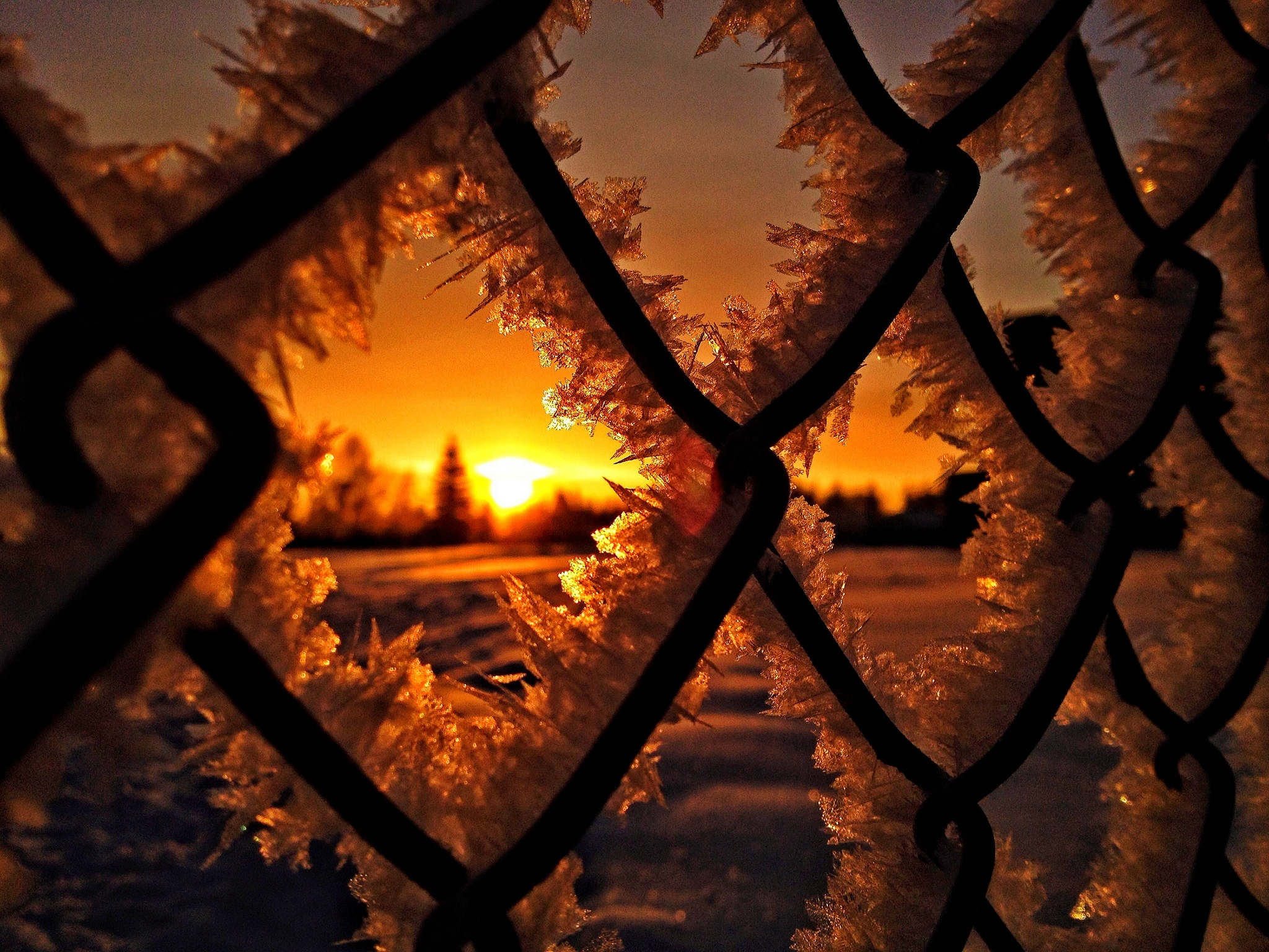 забор снег зима закат the fence snow winter sunset загрузить