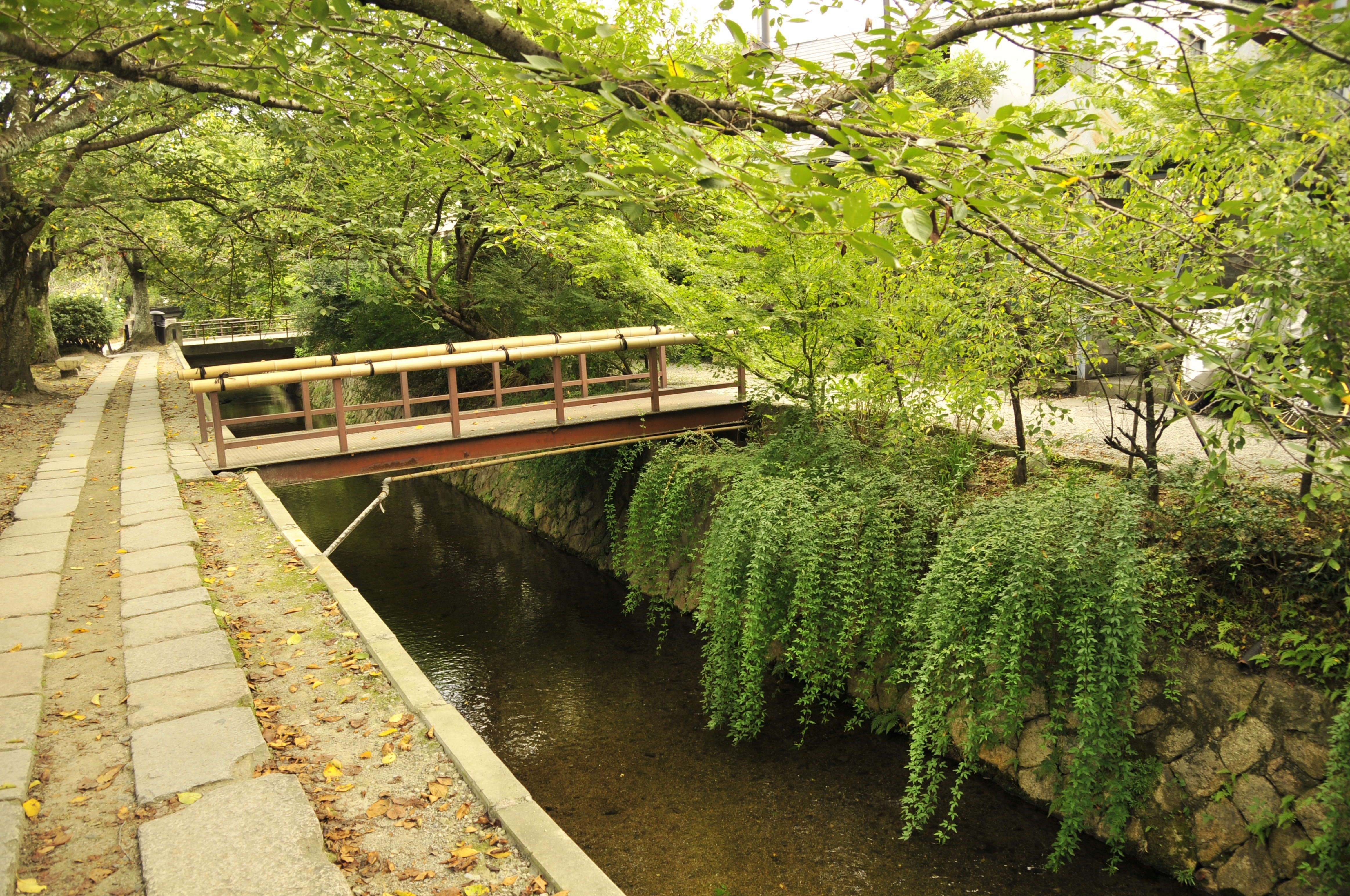 архитектура мост природа деревья бесплатно