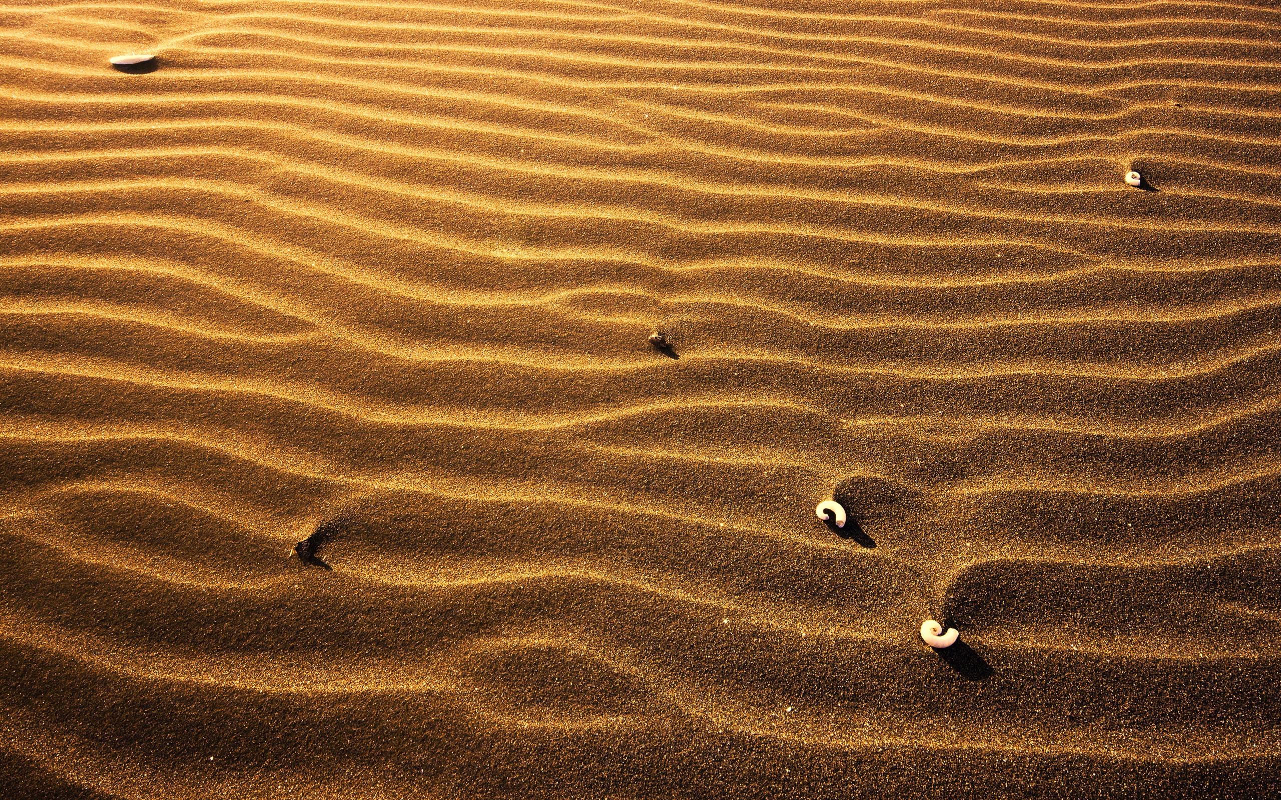 Sand. Песок. Песок сверху. Пустыня вид сверху. Красивый песок.