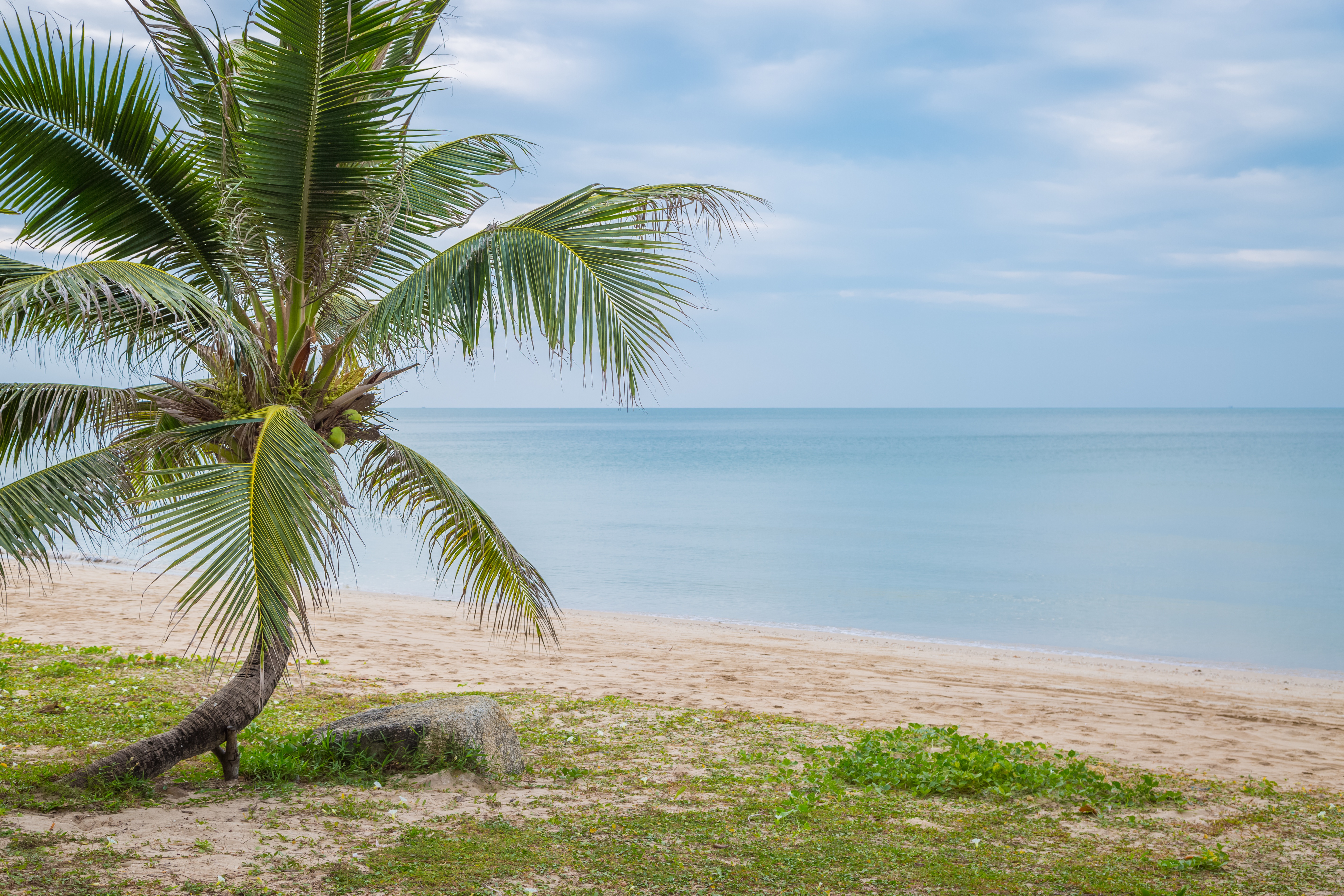 beach, beautiful, palms, paradise, sand, sea, seascape, summer, tropical, берег, лето, море, небо, пальмы, песок, пляж, солнце