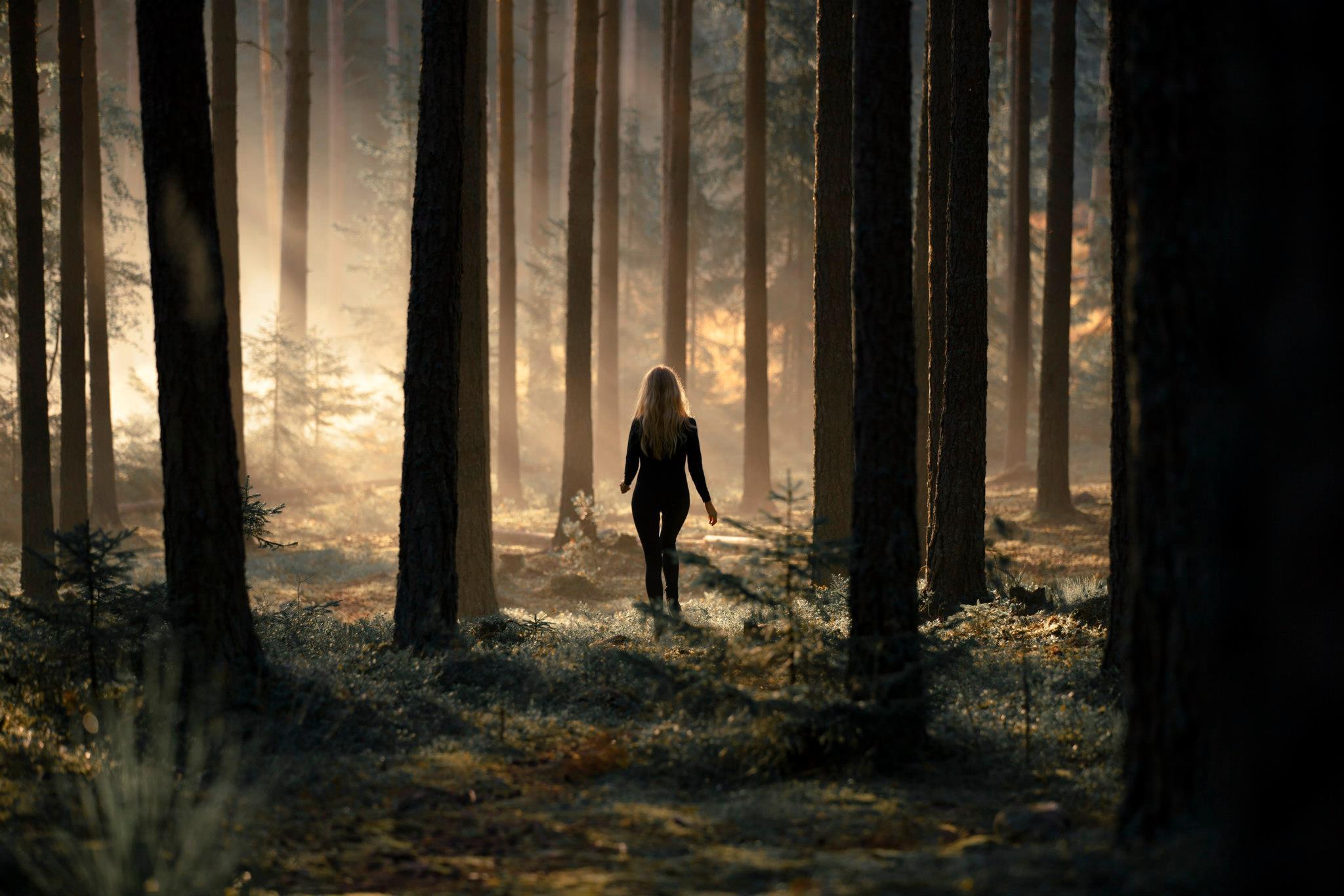 Девушка капюшон лес осень без смс