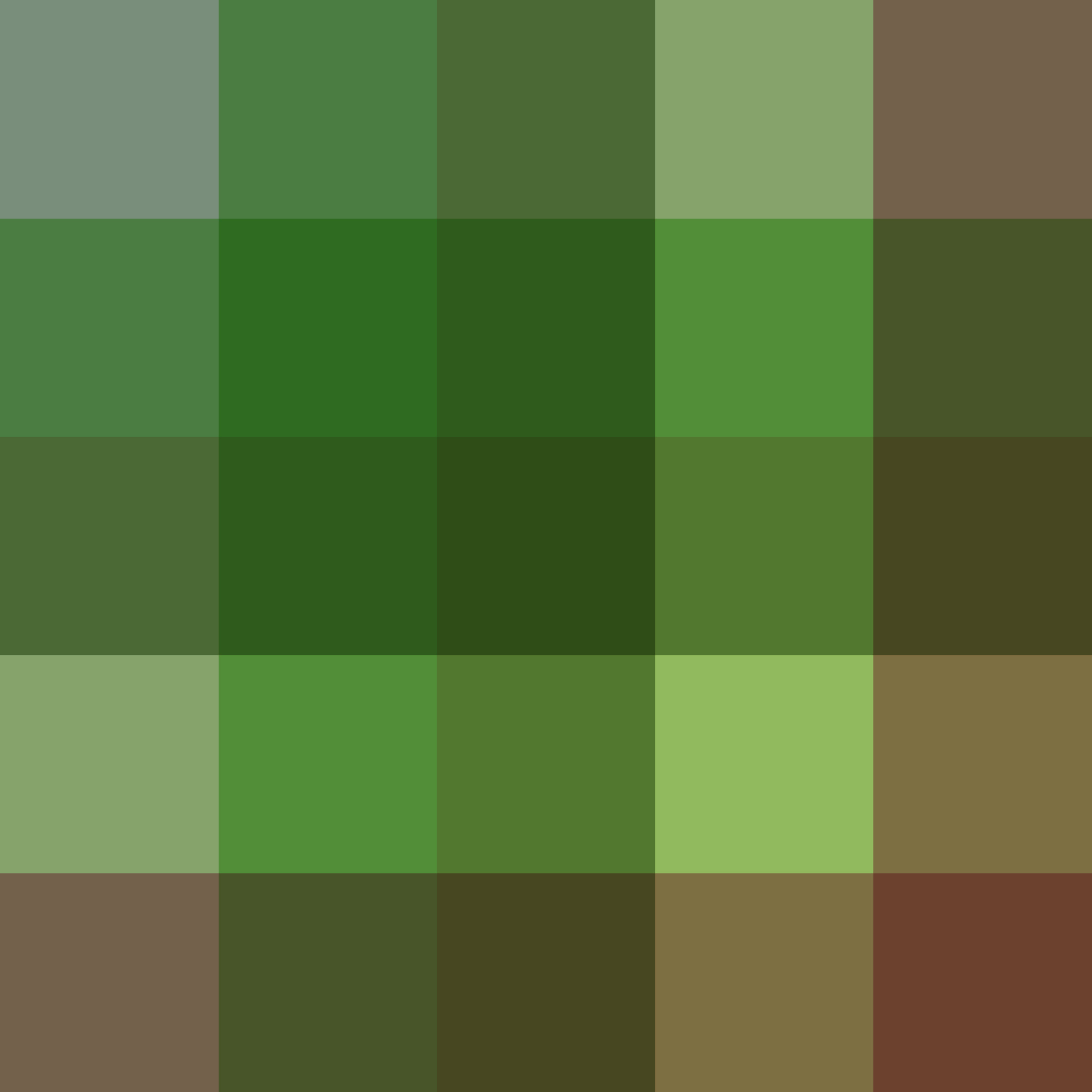 Обои зелено коричневые. Коричнево-зелёный. Коричневый салатовый. Оттенки зеленого и коричневого. Сочетание коричневого и зеленого.