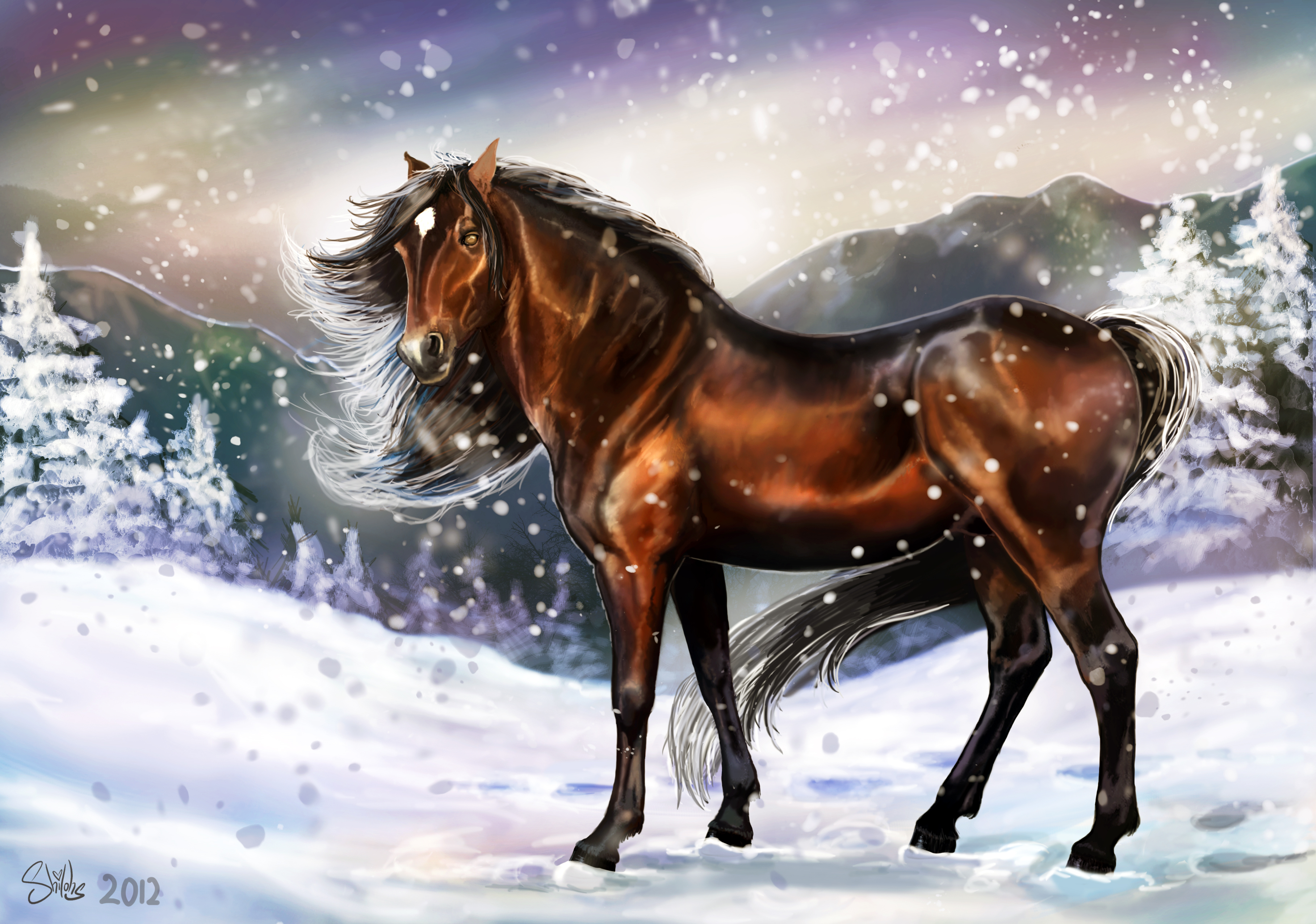 Год лошади животных. Лошадка картинка. Обои лошади. Картинки лошадей красивые. Красивые картины лошадей.